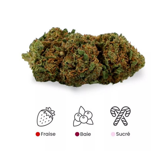 Fleurs CBD françaises « French strawberry »